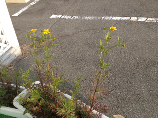 image-20131102204412.png